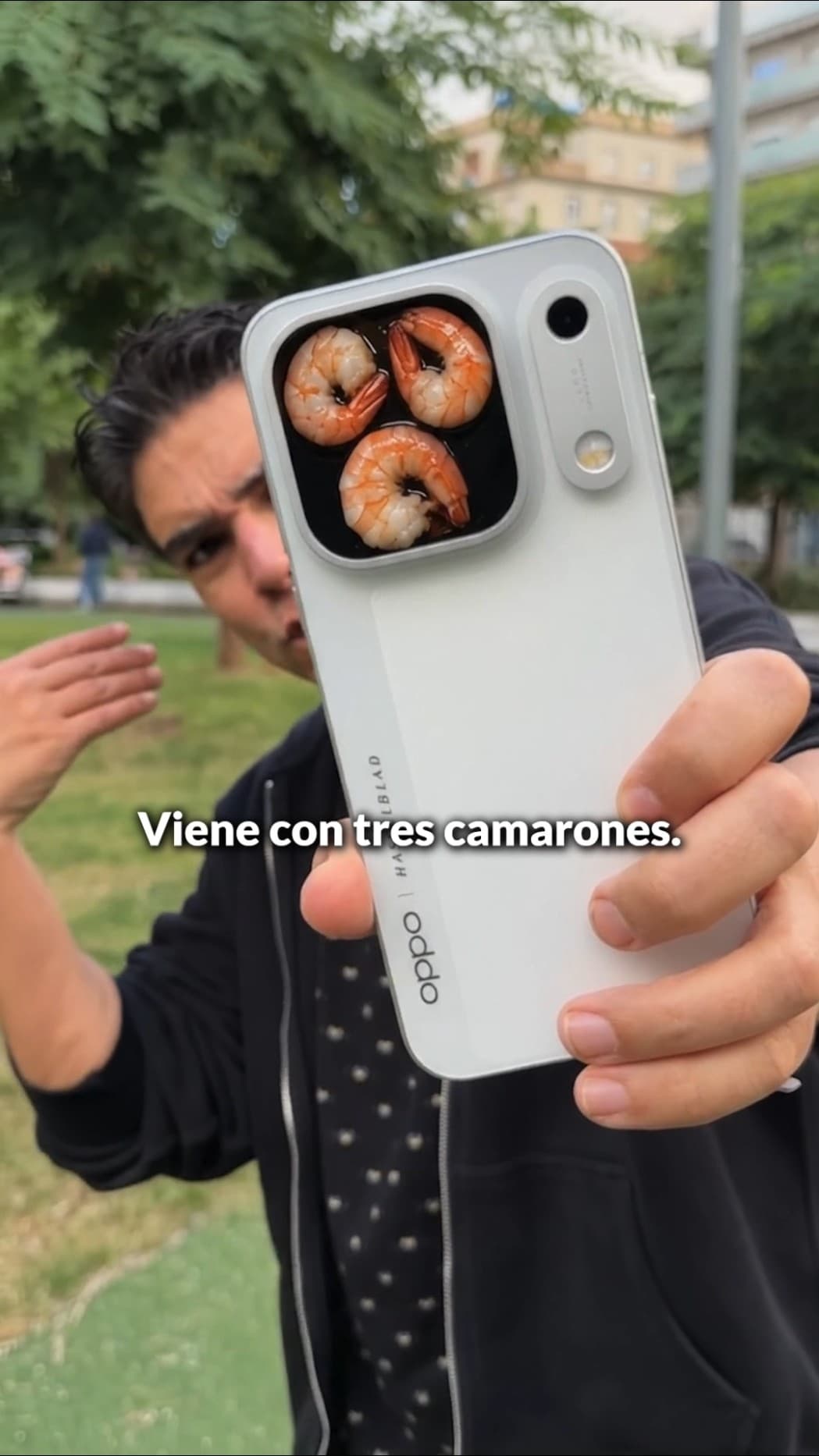 ¿Quieres Cámaras?? MEJOR CAMARONES!!!